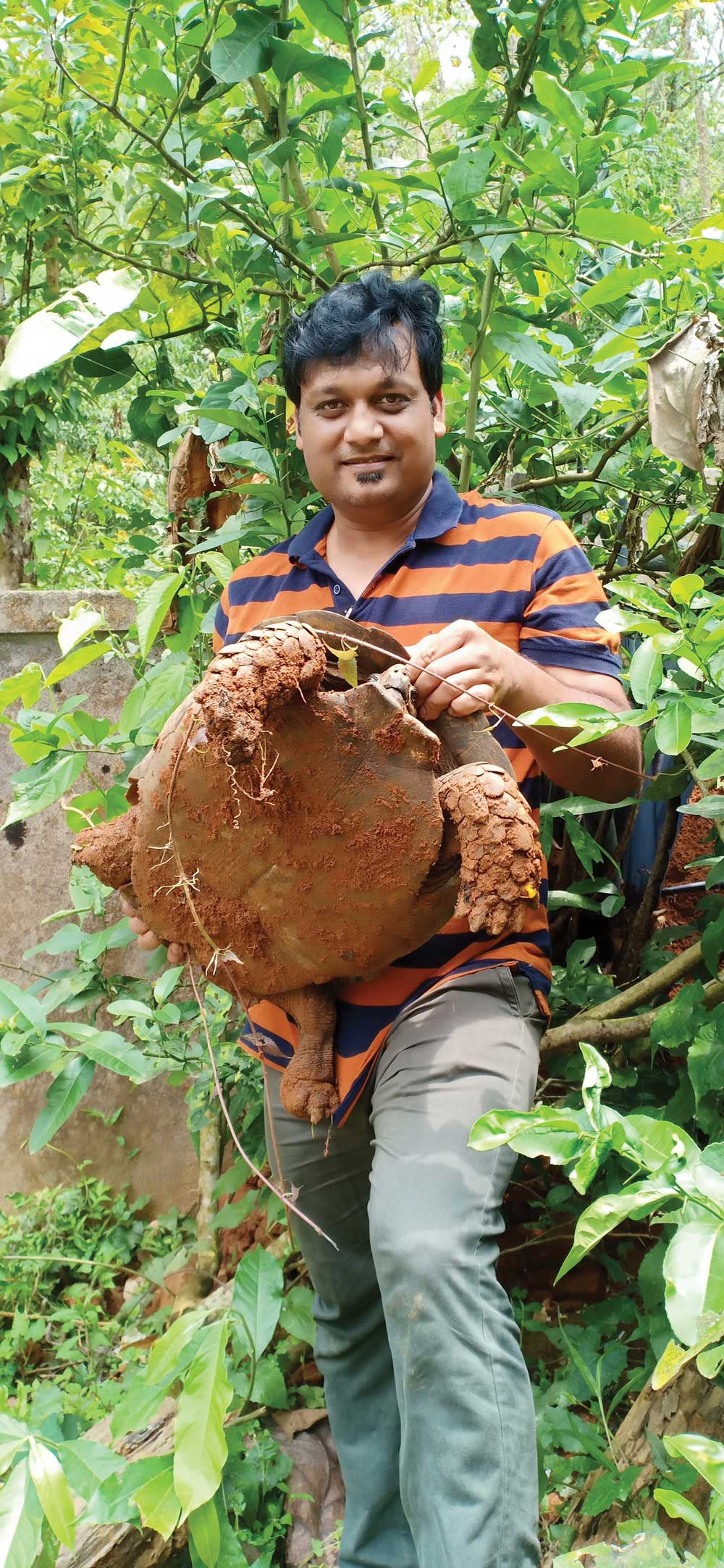 Dr. Shailendra Singh