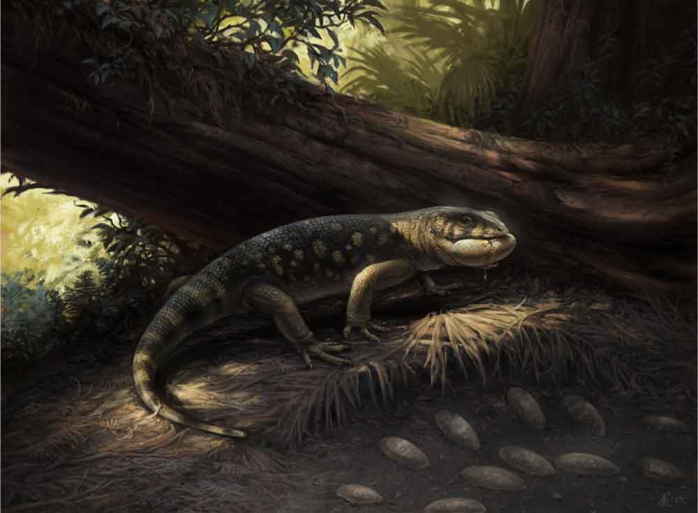 New Monstersaur Species Named After Goblin Prince in The Hobbit