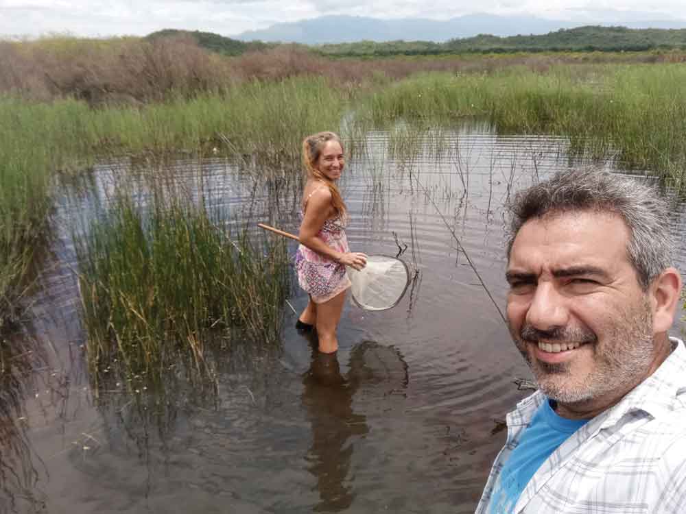 The Secretive World Of Tadpoles
