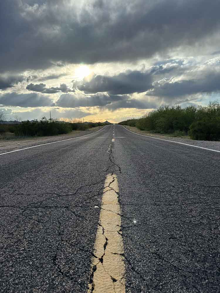 Road herping
