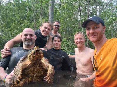 Great American Turtle Chase