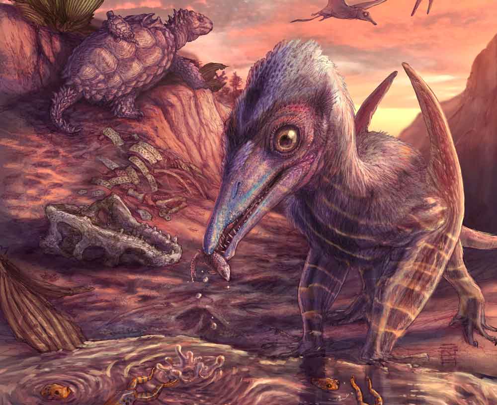 Oldest North American Pterosaur Discovered In Arizona