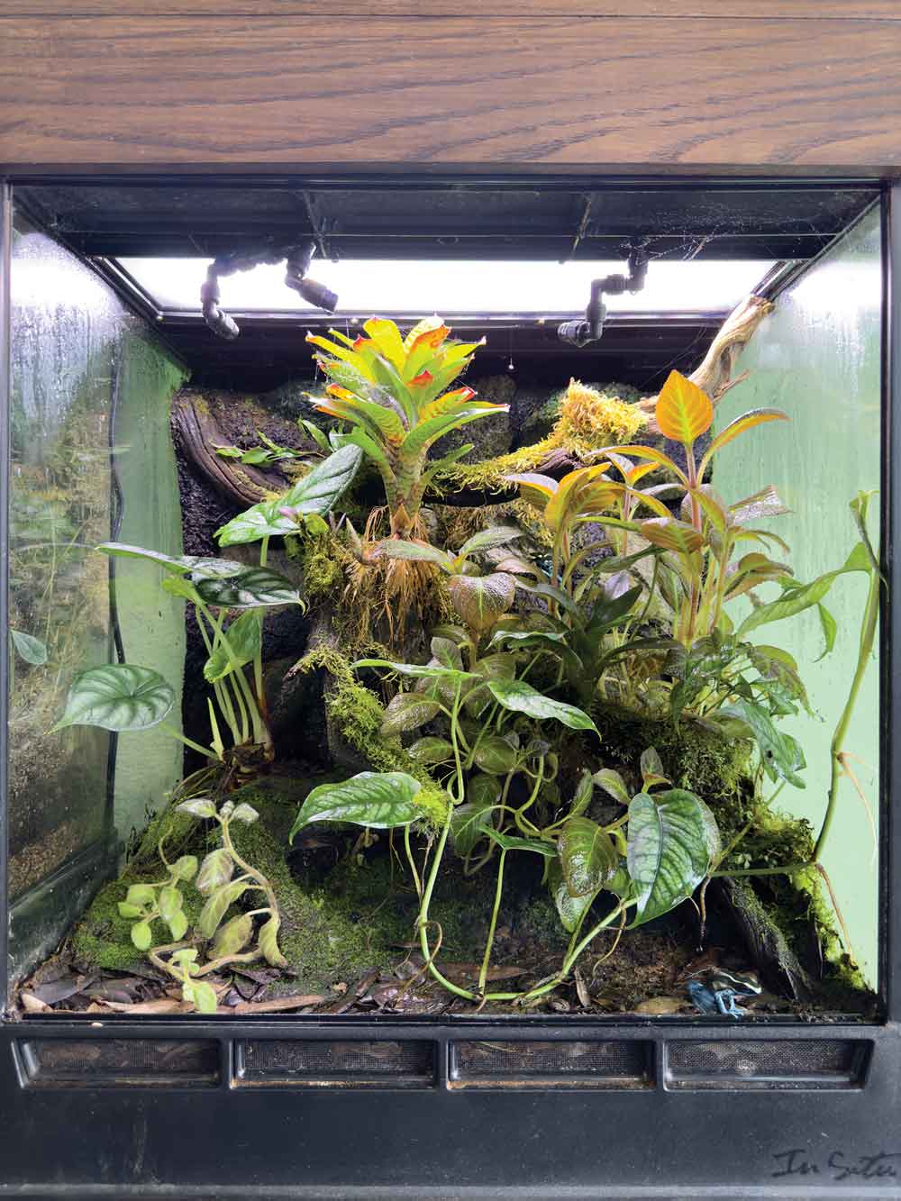 bioactive enclosure