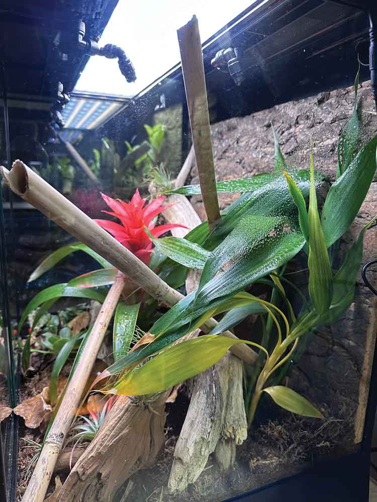 bioactive enclosure