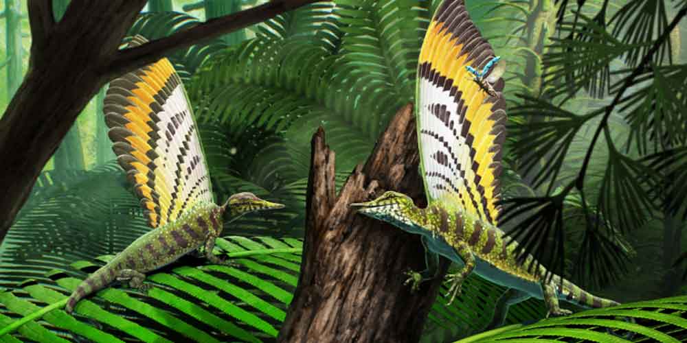 New Fossil Reptile Species Challenges Notion of Skin And Feathers on Reptiles