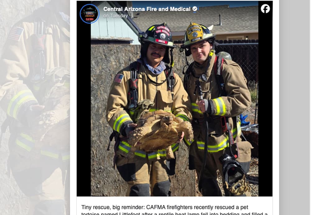 Arizona Firefighters Save Tortoise From Potential Fire In Its Enclosure