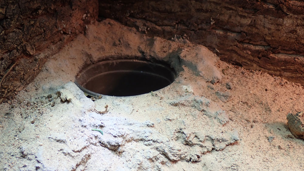 leopard gecko enclosure