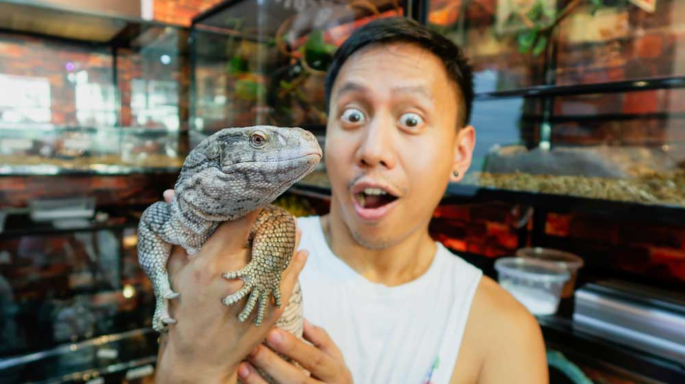 Mikey Bustos