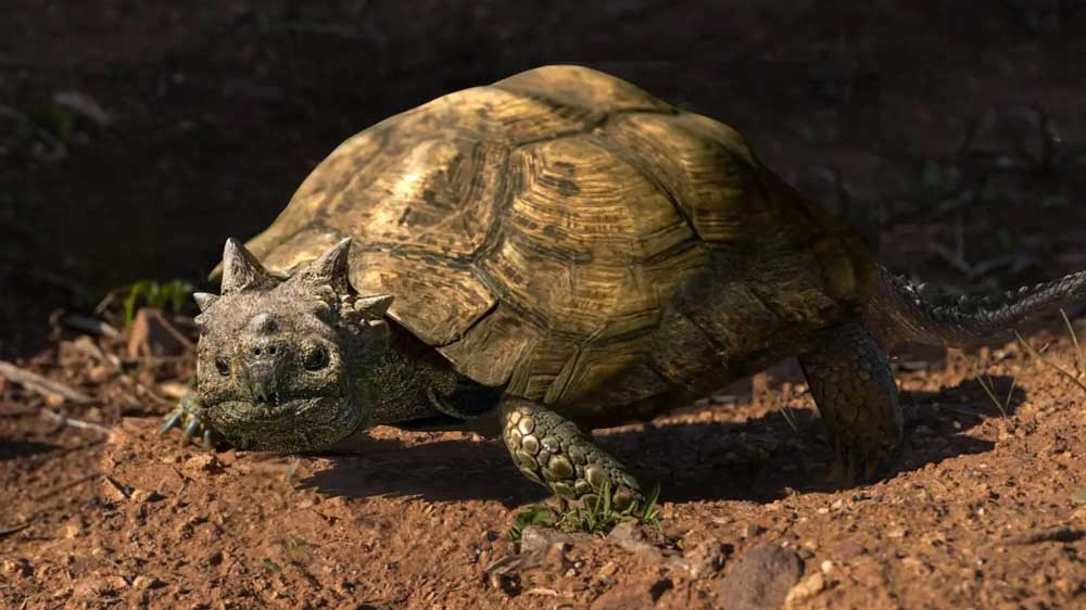 New Patagoniaemys Horned Turtle Species From Late Cretaceous Period Discovered New Patagoniaemys Horned Turtle Species From Late Cretaceous Period Discovered