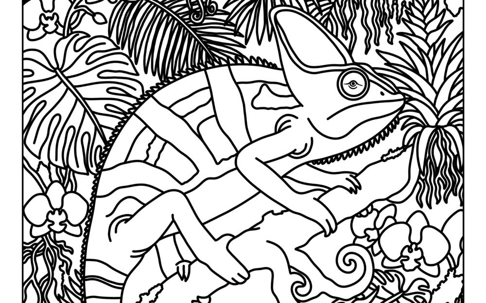 Let’s Go Coloring Reptile Coloring Pages