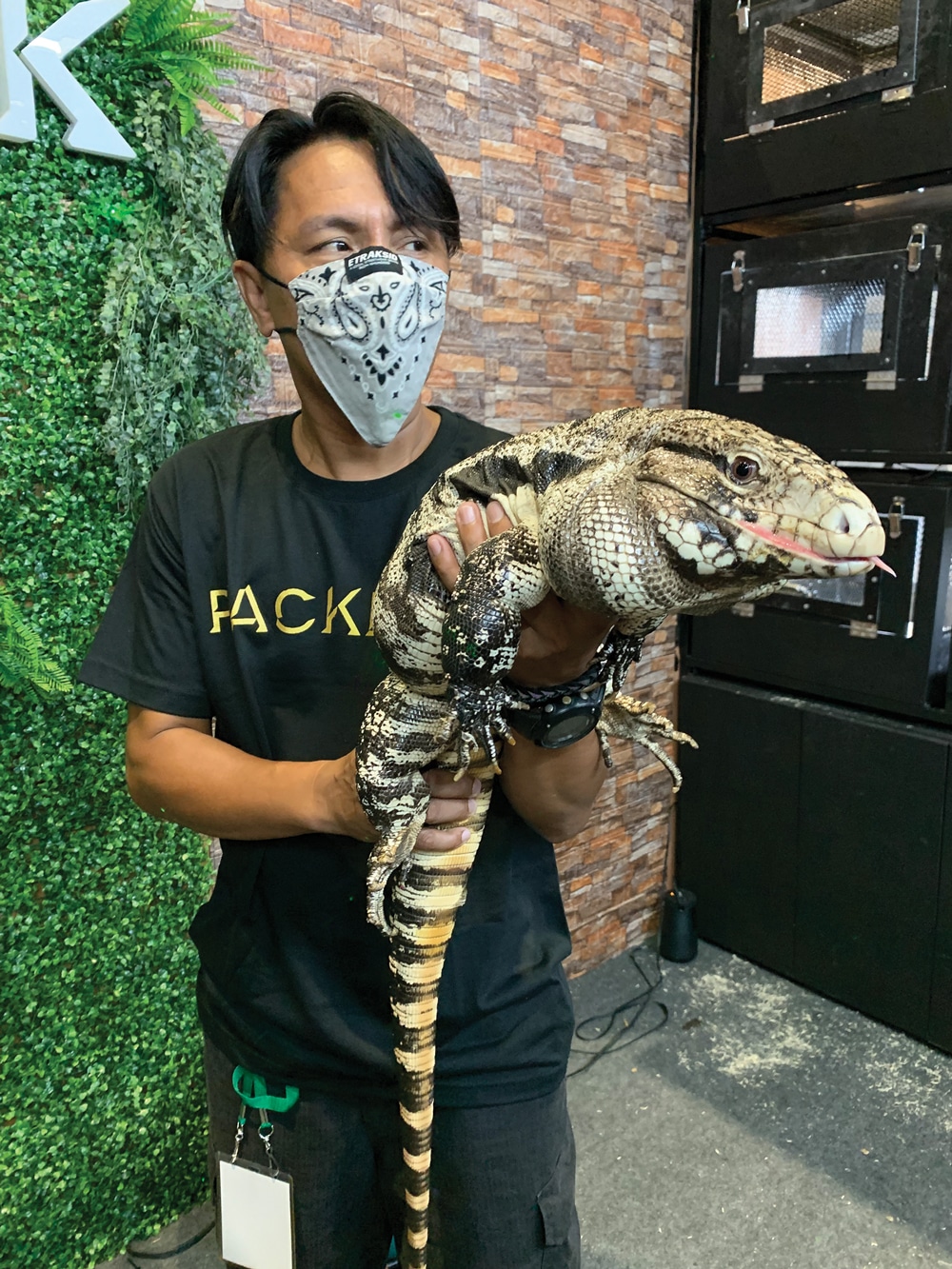 tegu