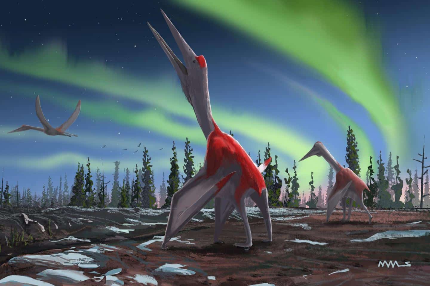 Fossils ID’d As New Species Of Giant Flying Reptile That Once Flew Above North America