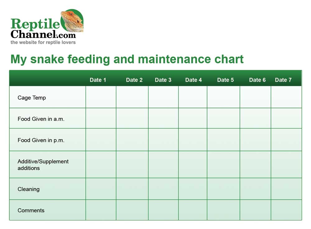 18 Snake Feeding Chart Templates Download JPG, PNG, PSD, AI