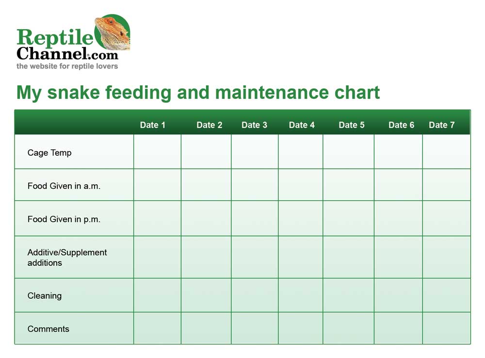 Snake Feeding Size Chart