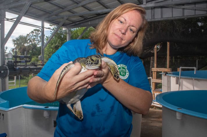 Shanon Gann To Head Brevard Zoo’s Sea Turtle Healing Center