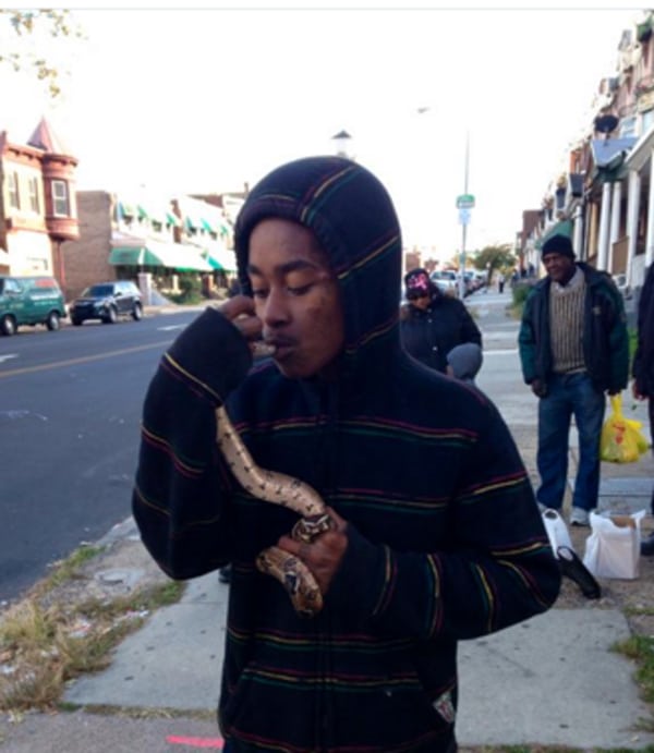 Herper Loses His Pet Snake On Philly Bus