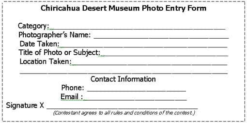 Chiricahua Desert Museum Photo Contest