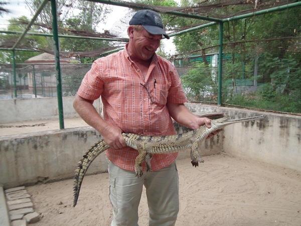 Gharial Conservation in Northern India