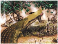 Shieldcroc Lived Among Dinosaurs