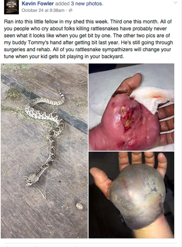 Country Singer Kevin Fowler Posts Photo Of Rattlesnake He Killed In His Shed