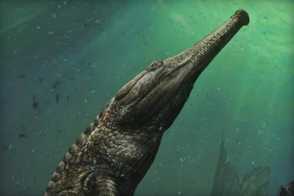 Scientists Discover 30 Foot Crocodile Fossil That Lived 130 Million Years Ago