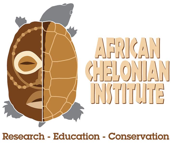 The African Chelonian Institute: Protecting The Turtles Of Africa