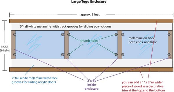 argentine tegu enclosure