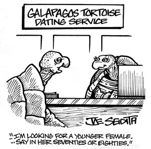 Tortoise Dating