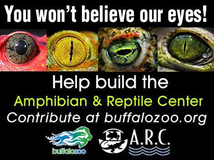 Buffalo Zoo To Get New Reptile And Amphibian Center