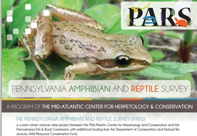 The PA Fish And Boat Commission Needs You To Count Reptiles This Summer!