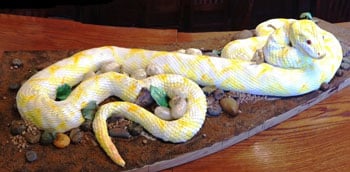 Rapid City, SD Reptile Gardens Hosts Mother's Day With 12-Foot Edible Burmese Python Snake Cake