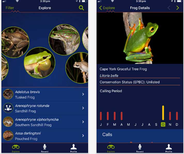 New FrogID App Helps Aussies Record And Catalog Frog Calls