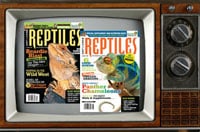 REPTILES Magazine: Soon To Be On TV?