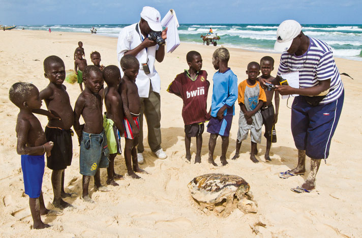 African Chelonian Institute