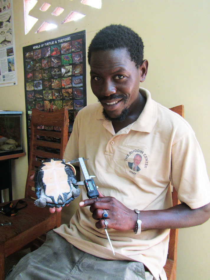 Rhodin Center employee Marcel Ndione measures a forest hinge-backed tortoise at the breeding facility.