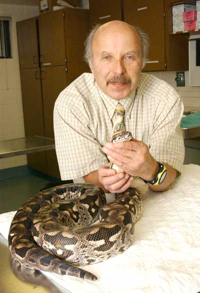 Dr. Elliott Jacobson with a Dumeril’s ground boa, one of the species prone to IBD.