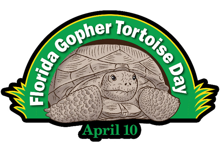 gopher tortoise day Florida