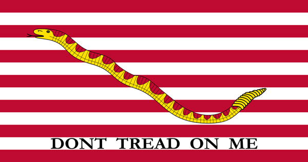Navy Jack Flag
