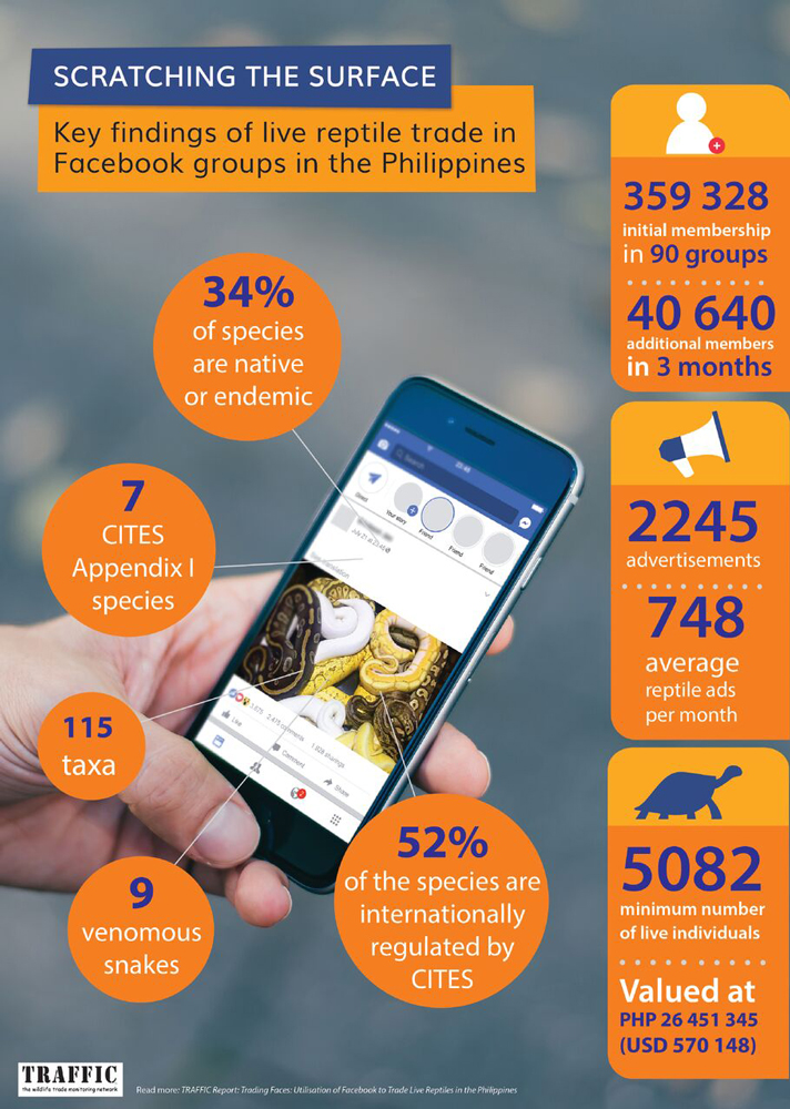 Philippines reptile trade infographic