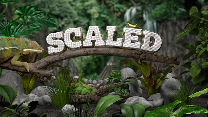 Animal Planet's Scaled