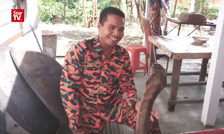 Cobra Handling Firefighter From Malaysia Dies From Cobra Bite