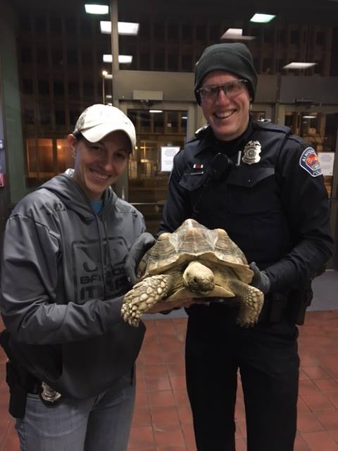 Albuquerque police officers