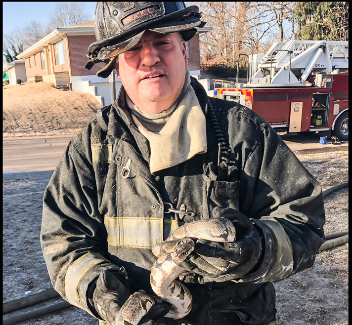 This ball python was pulled out of a St. Louis house fire.
