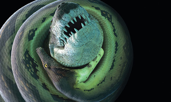 Titanoboa versus giant crocodile