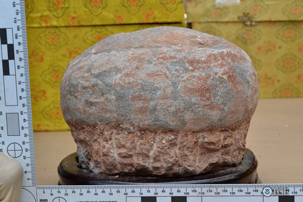 fossil hadrosaur egg