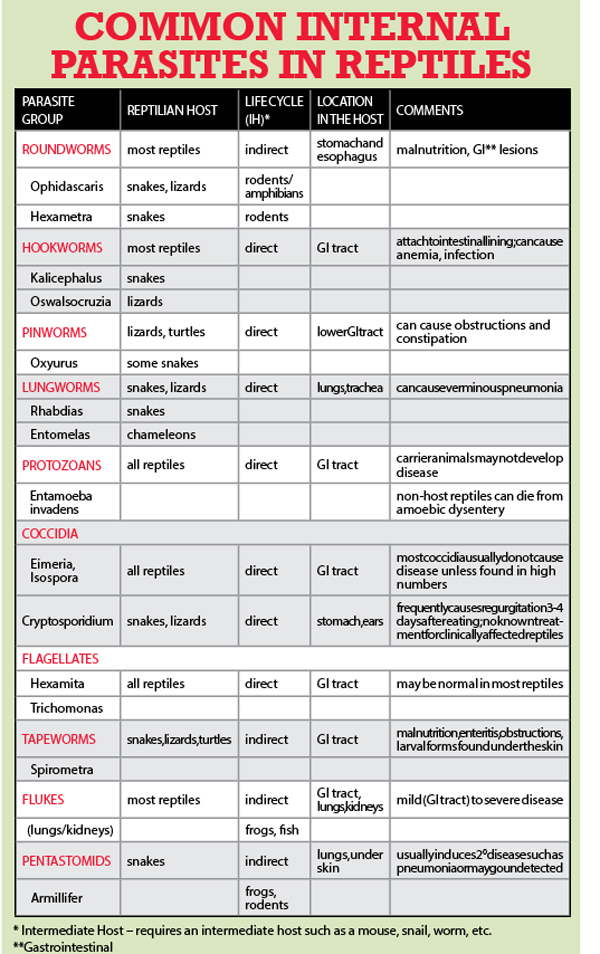 common reptile parasite