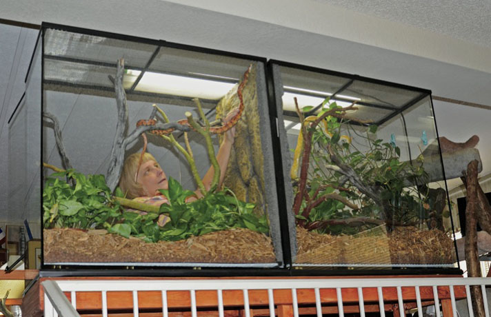 corn snake enclosures