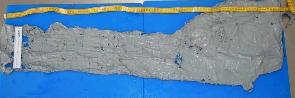 This is the largest piece of plastic found in the stomach of the dead leatherback sea turtle