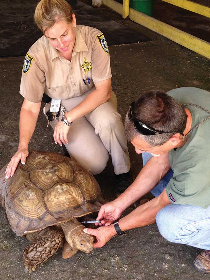 Dr. Douglas Mader treats a tortoise at Monroe County Jail