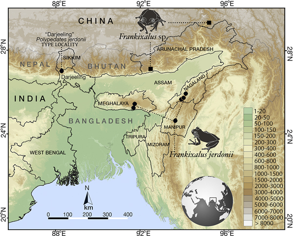 Franky's treefrog localities